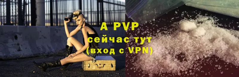 A-PVP СК КРИС  Лабинск 